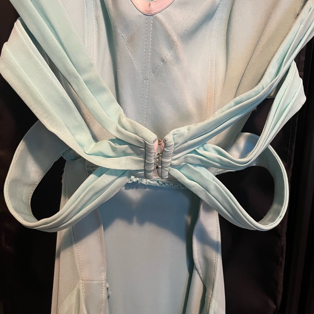 Prom/Formal Dress - Picture 3 of 6